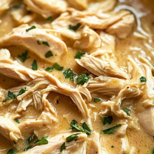 Slow Cooker Chicken and Gravy